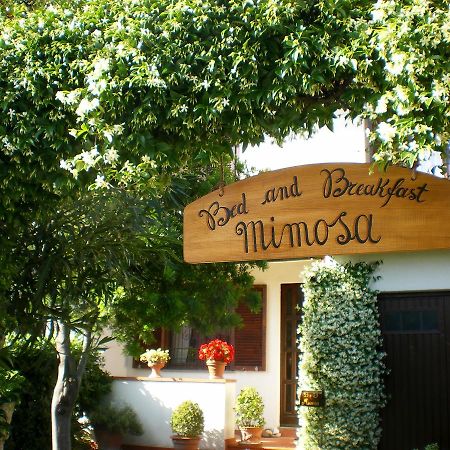 Bed&Breakfast Mimosa Cascina Exterior foto